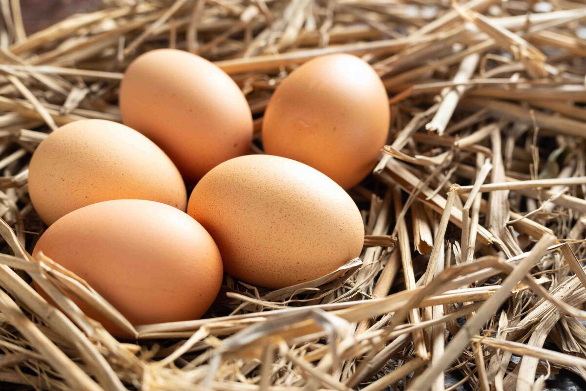 Yumurta Gluten İçerir mi?