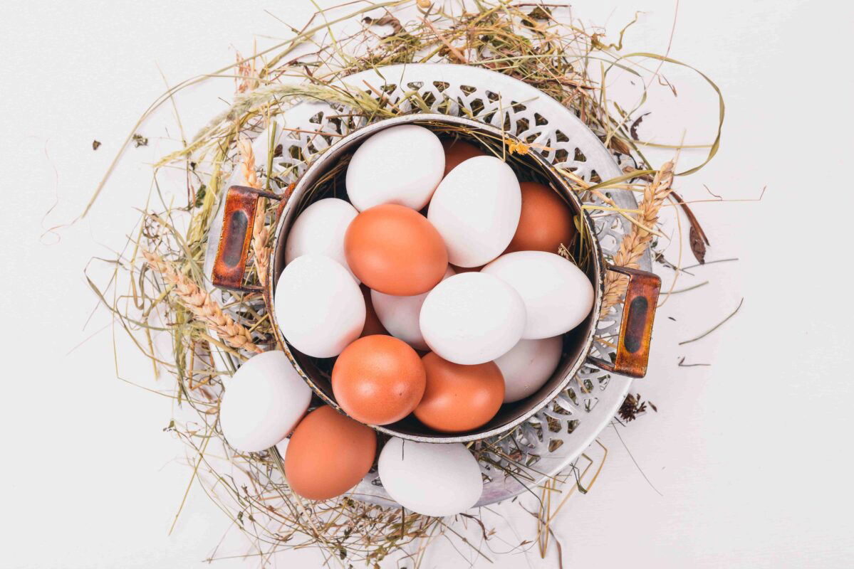 Yumurta Besin Değerleri Nelerdir?